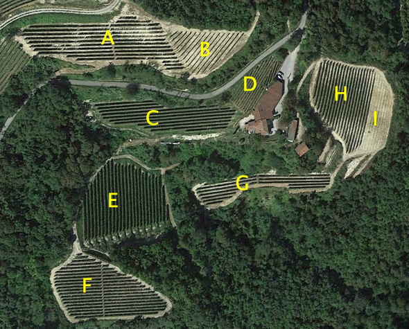Weinberge der Cascina Mucci vom Satelliten aus